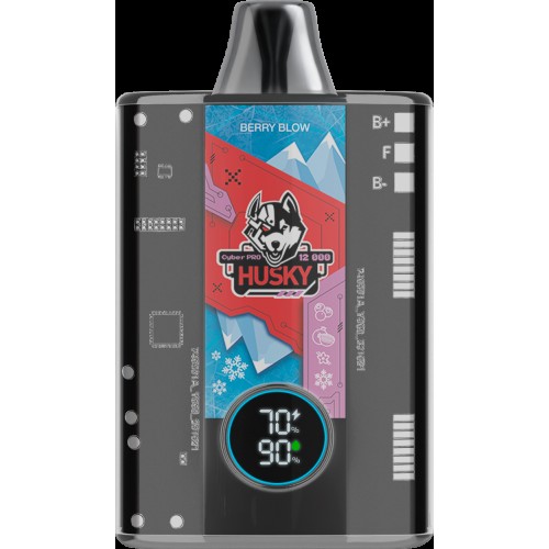 Husky cyber pro Berry Blow Черника / гранат / ваниль / лёд