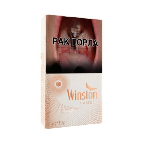 Winston Compact Caster Plus